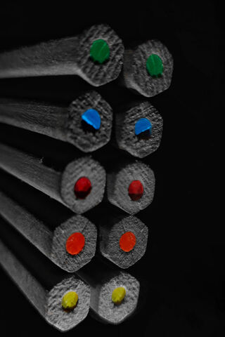 Vibrant Hues in a Monochrome World 🎨✨