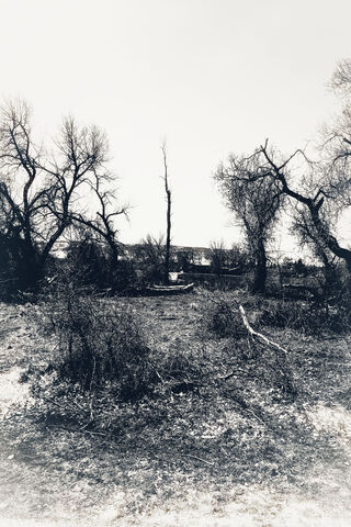 Echoes of Abandonment 🌫️