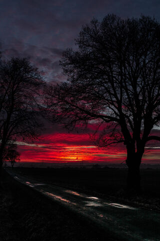 Crimson Horizon: A Twilight Journey