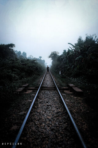 Journey into the Unknown 🌫️🚂