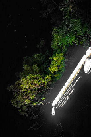 Whispers of the Night 🌌🌿