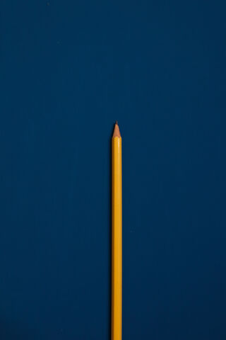 The Shadow of Creativit..