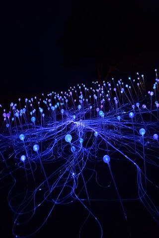 Illuminated Dreams: A Journey Through the Field of Light ✨🌌