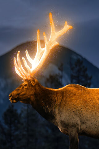 Glowing Deer Horn