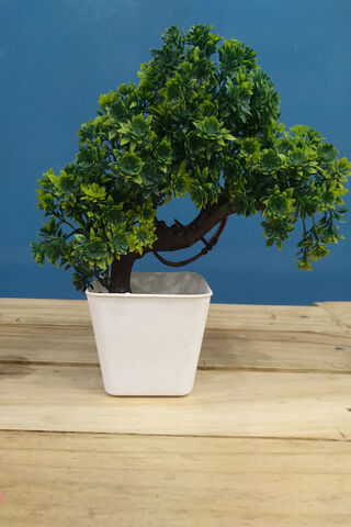 Serenity in Green: The Bonsai Beauty 🌿