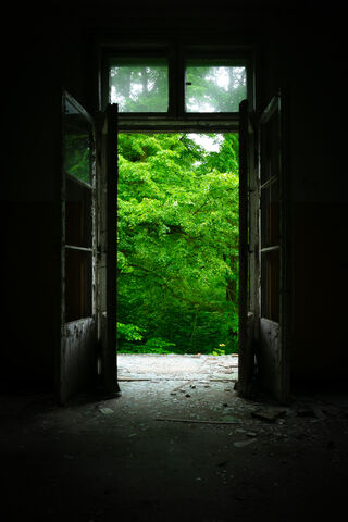 Gateway to Nature's Embrace 🌿🚪