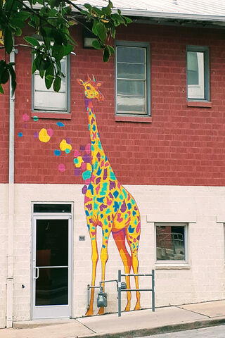 Colorful Giraffe: A Splash of Joy