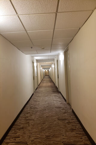 The Endless Journey: Long Hallway Adventures 🚪✨