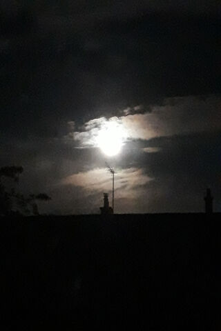 Moonlit Whispers: A Night's Embrace 🌙✨