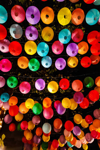 A Colorful Canopy of Light 🌈✨
