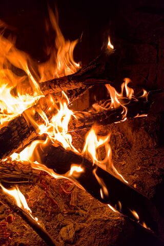 LENSBUG: The Dance of Flames 🔥