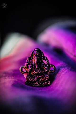 Divine Blessings: The Essence of Lord Ganesha 🐘✨