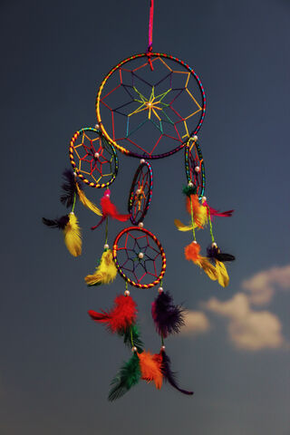 LENSBUG: A Colorful Dre..