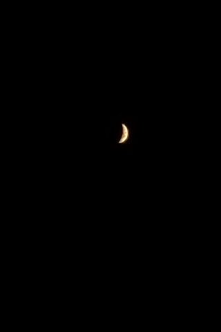 Mooonlit Dreams 🌙✨