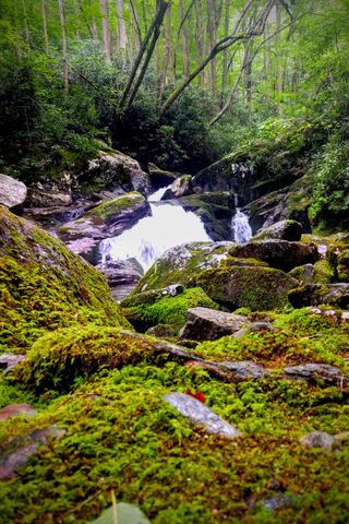 Enchanted Green Oasis 🌿💧