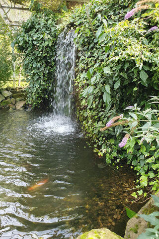 Serenity in Nature: The Mini Waterfall Oasis 🌿💦