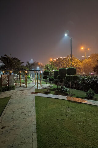 Whispers of the Night 🌙✨