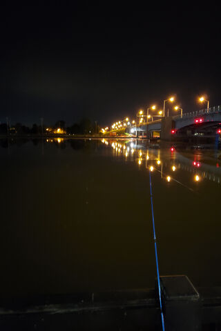 Serenity Under the Stars: A Night Fishing Adventure 🌌🎣