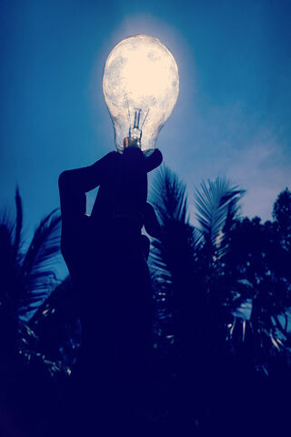 Illuminating Dreams: The Night Shine