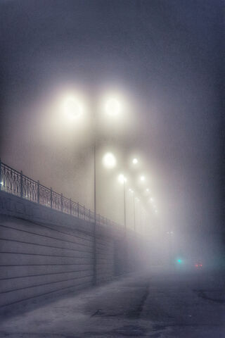 Whispers of the Night: A Foggy Stroll