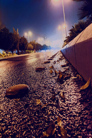 Whispers of the Night: A Serene Roadside