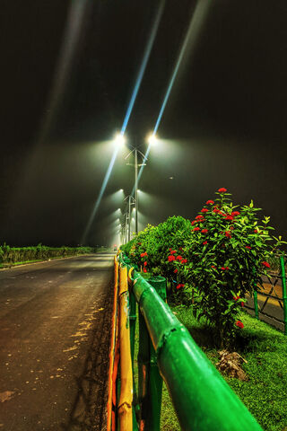 Illuminated Serenity: A Night Walk