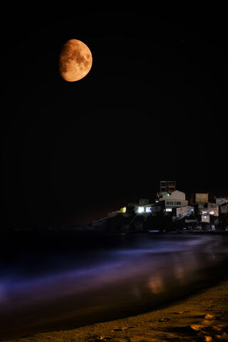 Moonlit Serenity: A Night at the Beach 🌙🏖️