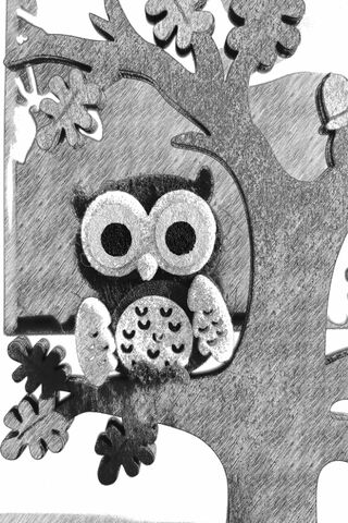 Owl Black And White