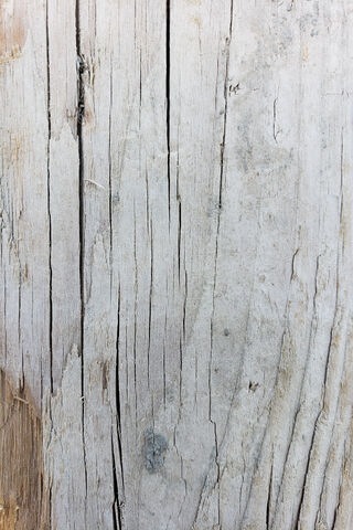 Timeless Textures: The Story of Old Wood