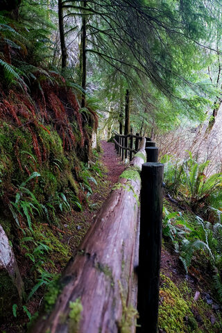 Outdoor Walkway