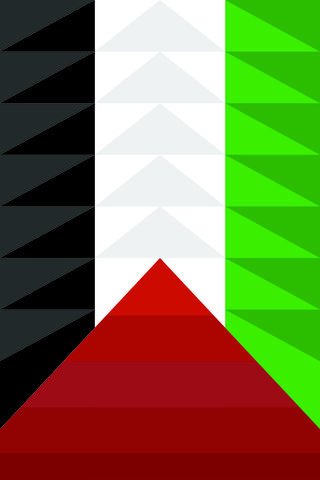 Palestine Flag