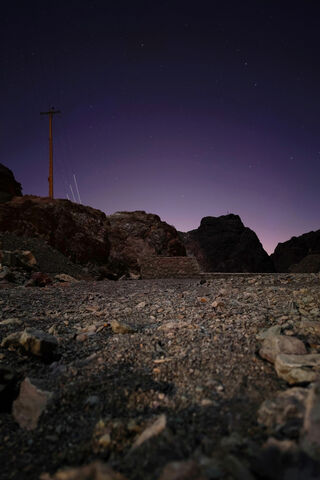 Enchanted Twilight: A Journey Through the Purple Night