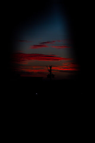 Peck Tru: A Glimpse of Dusk's Embrace 🌅