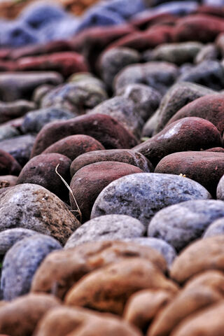 Nature's Colorful Mosaic: A Pebble Paradise 🌈