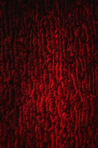 Glamour Underfoot: The Essence of Red Carpet Elegance