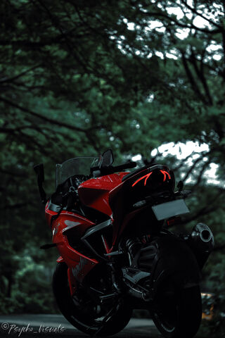 RR310: The Beast Awaits 🏍️🔥