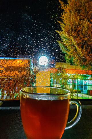 Cozy Moments with Rainy Black Tea ☕🌧️
