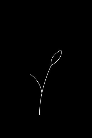 Minimalist Growth 🌱