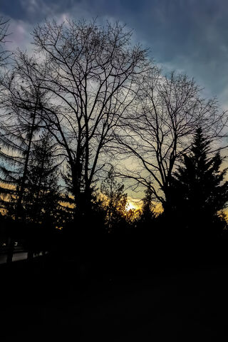 Twilight Whispers: A Dance of Shadows
