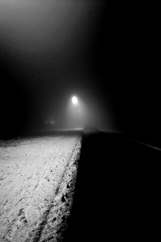 Whispers of the Night