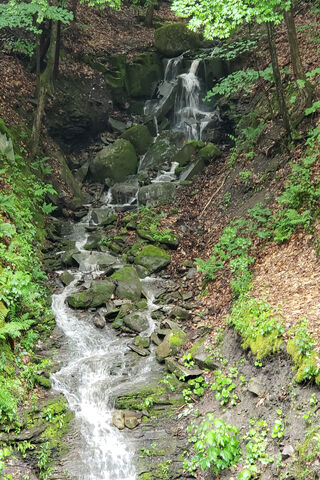 Tranquil Cascade: Nature's Hidden Gem 🌿💧