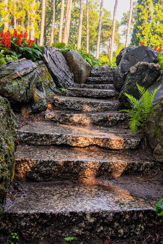 Journey Through Nature's Pathway 🌿✨