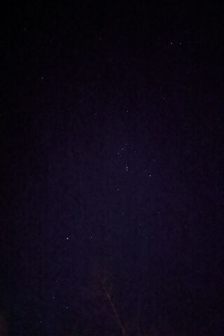 Celestial Dreams: A Night Under the Stars ✨🌌