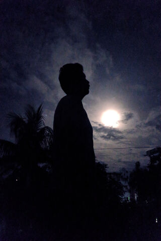Whispers of the Night Sky 🌙