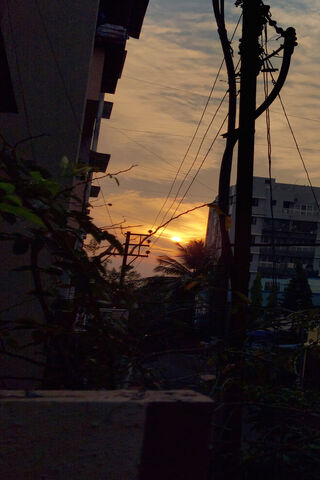 Sunset Symphony: A Tinted World 🌅🎶