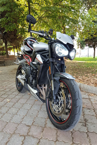 Triumph of the Open Road 🏍️✨