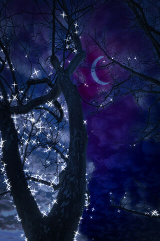 Whispers of the Night Sky 🌌✨