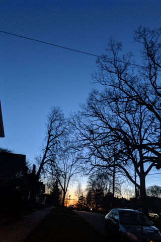 Twilight Whispers: A Darkening Sky 🌌🌳