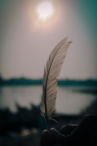 Whispers of the Sky: A Feather's Journey 🌤️🪶