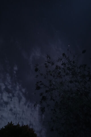 Whispers of the Night Sky 🌌✨